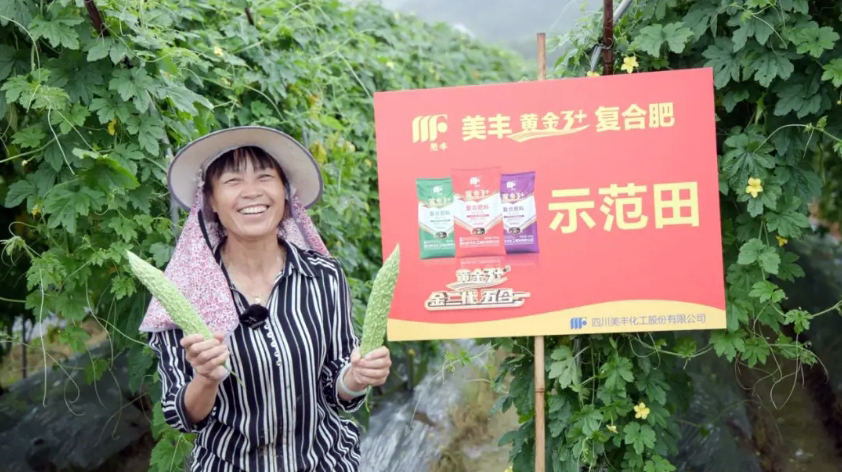 南方农村报：凯发·k8国际肥料守护餐桌上的“苦”与“甜”